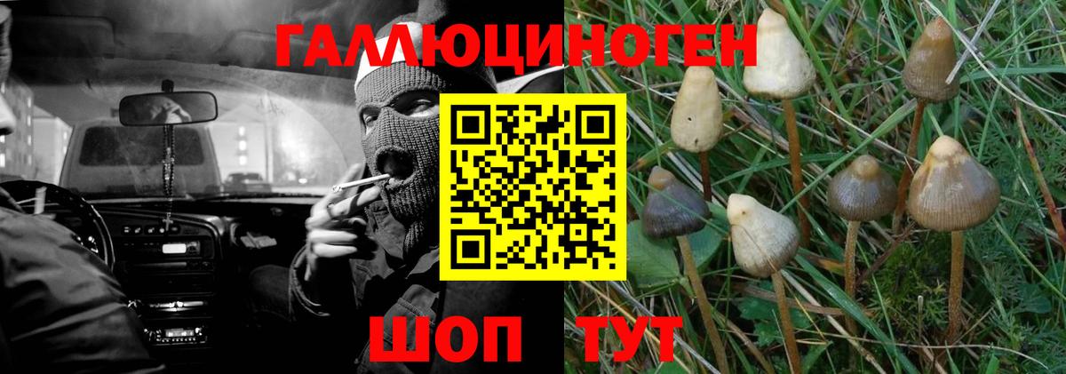 Псилоцибиновые грибы мицелий Воткинск